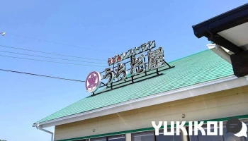 うちだ屋 菊池店 - 菊池市