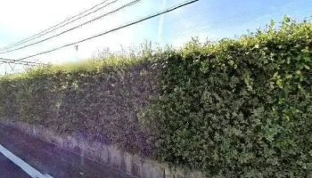 ビストロダイニング環meguru - 橿原市