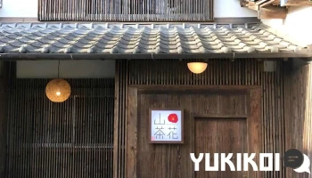 山茶花 - 菊池市