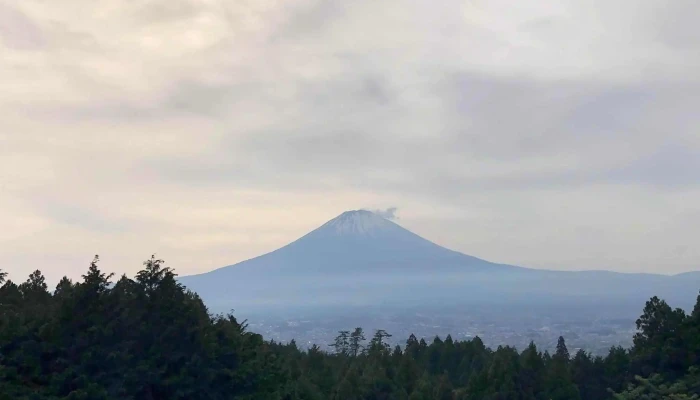 Gastronomique Le Mont -  割引 - 御殿場市