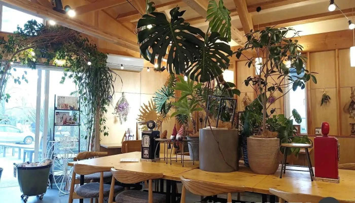 Meg Cafe 511 -  雰囲気 - 見附市