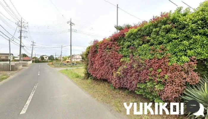 あさま - 鉾田市