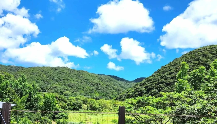 あまみんtropica Amami カタログ - 龍郷町