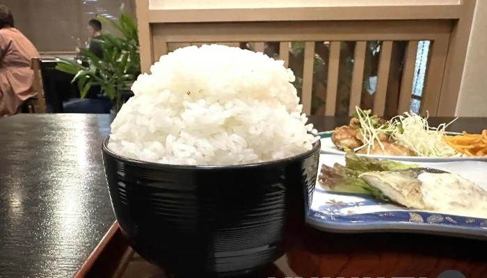 お食事処よしの -  最新 - 下松市