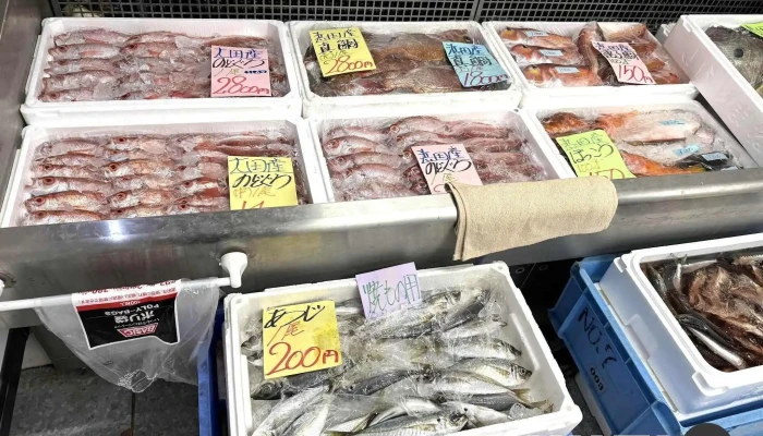 お魚のなかだ -  シーフード - 浜田市