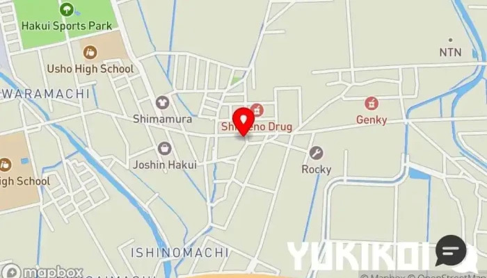 の地図 からあげ金と銀 羽咋石野町店 鶏料理店 で 羽咋市