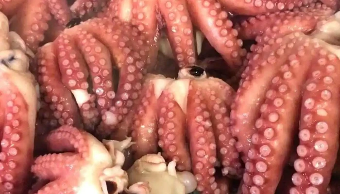 こだわり料理とサケ 荒ヤ -  動画 - 二戸市