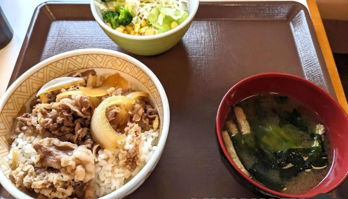 すき家 6号日立城南店 -  料理飲み物 - 日立市