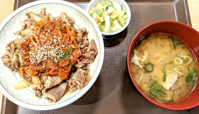 すき家 南陽警察署西店 -  牛丼 - 南陽市