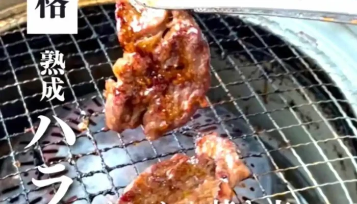 すすめヴァイキング 徳山東店 動画 - 下松市