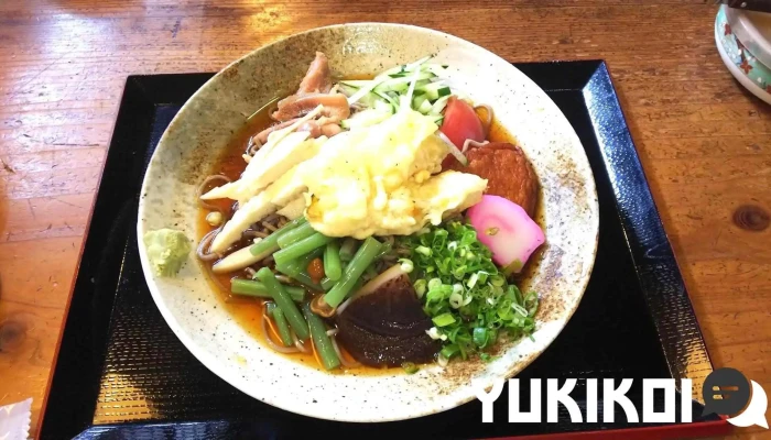 せせらぎの里 -  うどん - 日南市