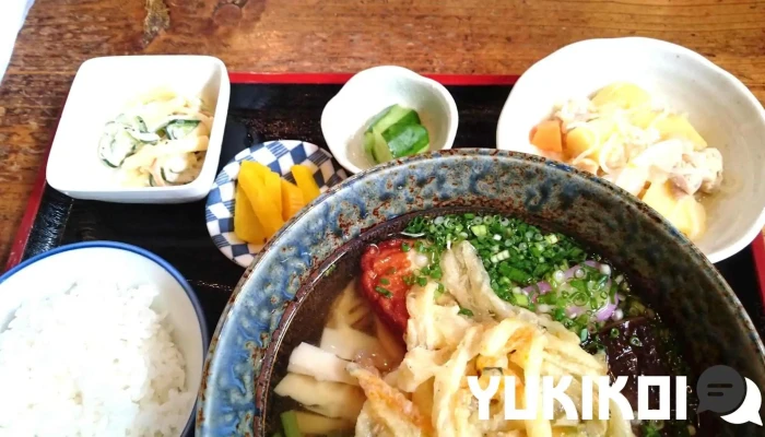 せせらぎの里 -  麺 - 日南市