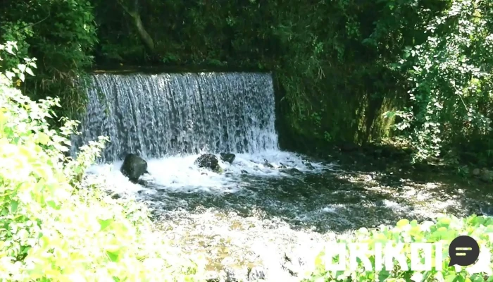 そば源 -  動画 - 沼田市