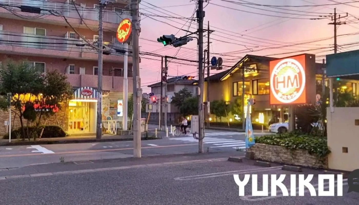 ほっともっと 鳩ヶ谷南店 - 川口市