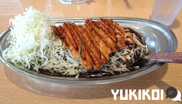 ゴーゴーカレー 羽咋スポーツプラザ店 -  チキンカツ - 羽咋市