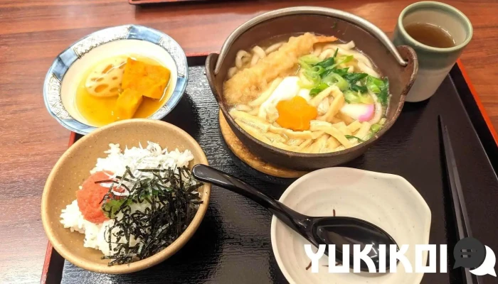 ザめしや 京都伏見店 -  麺 - 京都市