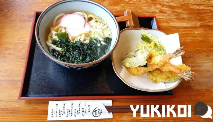 シャンシャン茶屋 日南店 -  うどん - 日南市