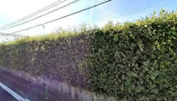 ビストロダイニング環meguru - 橿原市
