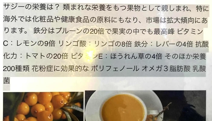 ヤルーモンゴルレストラン -  料金 - 前橋市