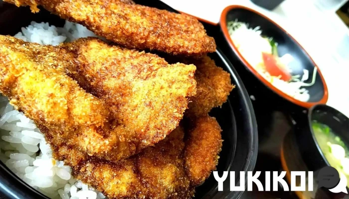 ヨーロッパ軒 春江分店 -  カツ丼 - 坂井市