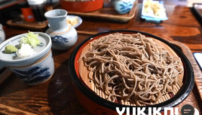 丸泉 手打そば -  麺 - 塩尻市