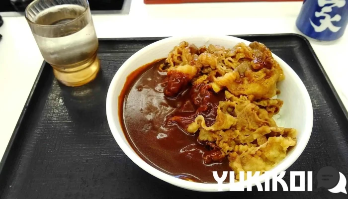 吉野家 ２号線徳山東インター店 -  牛丼 - 下松市