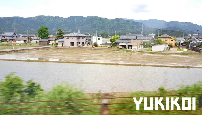 坂井市 -  坂井市 - - 坂井市