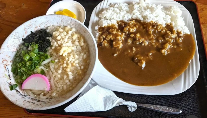 安兵衛うどん -  カレー - 日南市