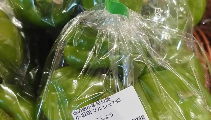 小坂田マルシェ790 -  最新 - 塩尻市