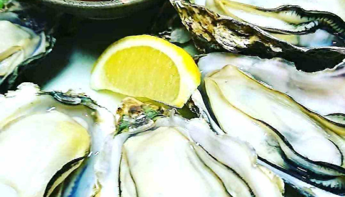 居酒屋げんちゃん -  料理飲み物 - 高砂市