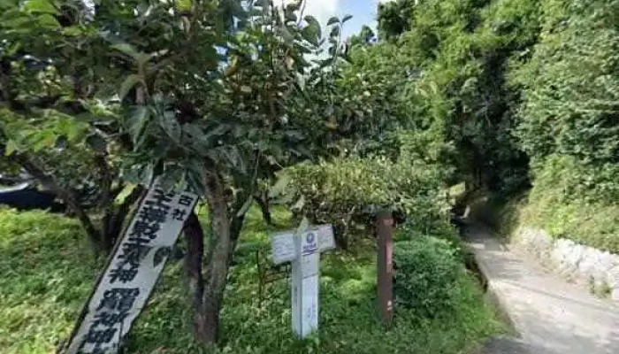 山辺の道 花もり -  桜井市 - 桜井市