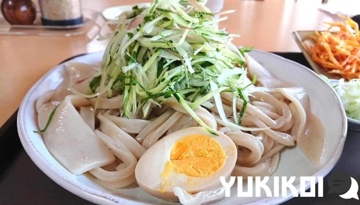 手打ちつけ汁うどん処てる井 -  うどん - 新庄市
