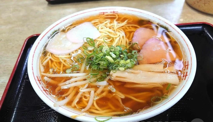 柳川製麺所 やな川うどん 本店 -  ラーメン - 観音寺市