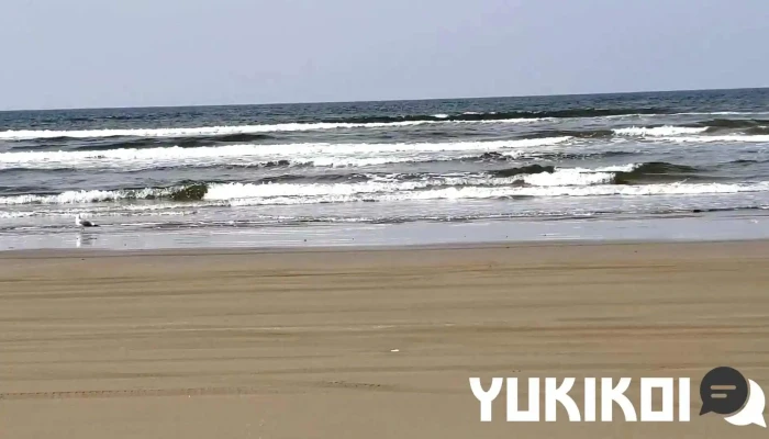 海の家 -  動画 - 宝達志水町
