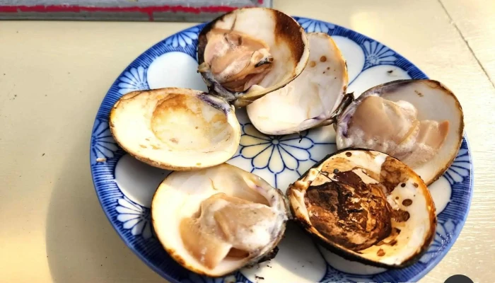 海の家 -  料理飲み物 - 宝達志水町