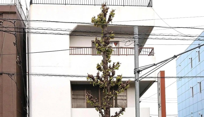 生魚料理 三最 -  写真 - 日立市
