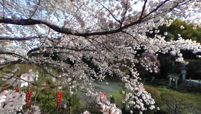 筍亭 - 京都市